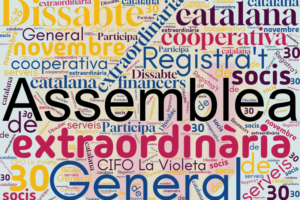 Convocatòria d’Assemblea General extraordinària de socis i sòcies – 30 de novembre de 2024